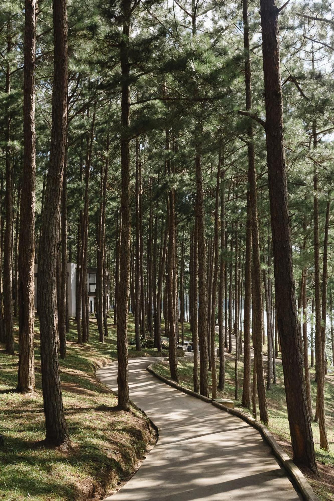 Terracotta Hotel & Resort Dalat Bagian luar foto