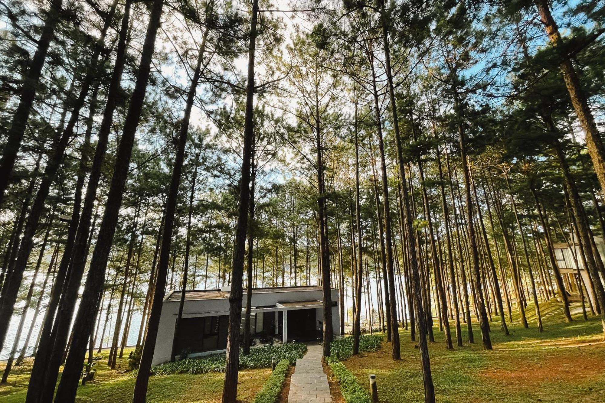 Terracotta Hotel & Resort Dalat Bagian luar foto
